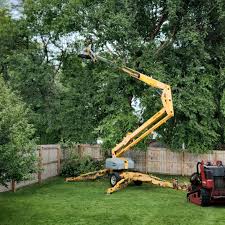 Best Lot and Land Clearing  in Airport, CA