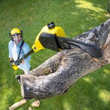 Best Sod Installation  in Airport, CA